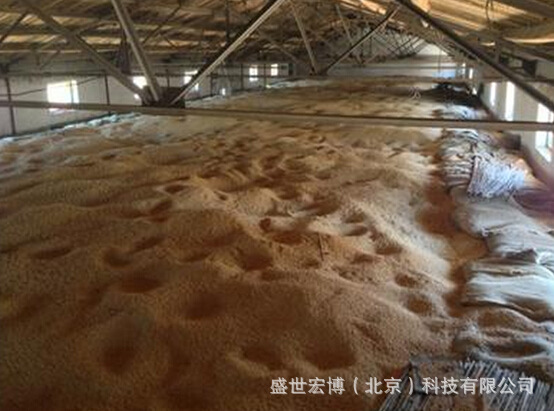 数字线缆式温度传感器的应用之粮库分散式温度监控系统